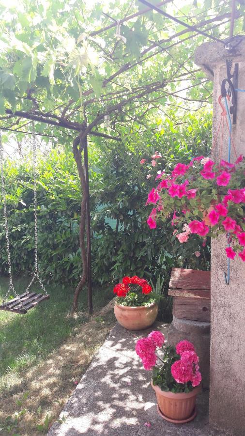 Holiday Home Ivana Pasjak Ngoại thất bức ảnh
